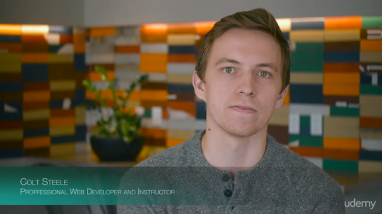 The Web Dev Bootcamp - Udemy