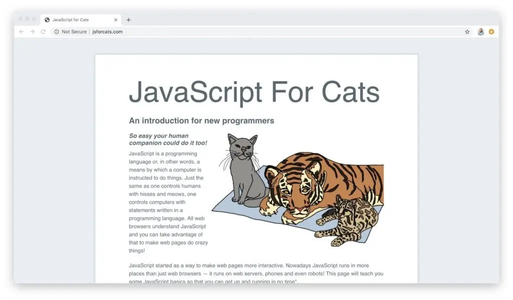 javascript para gatos