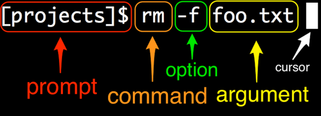 anatomy of a command line